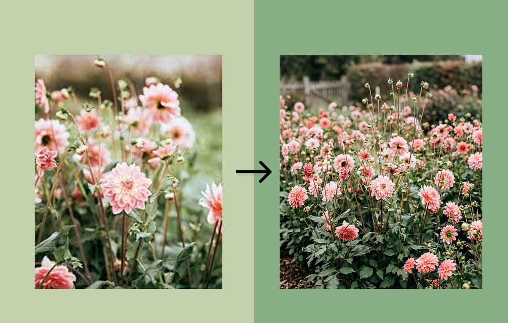 Cách mở rộng hình ảnh trong Google Slides bằng AI